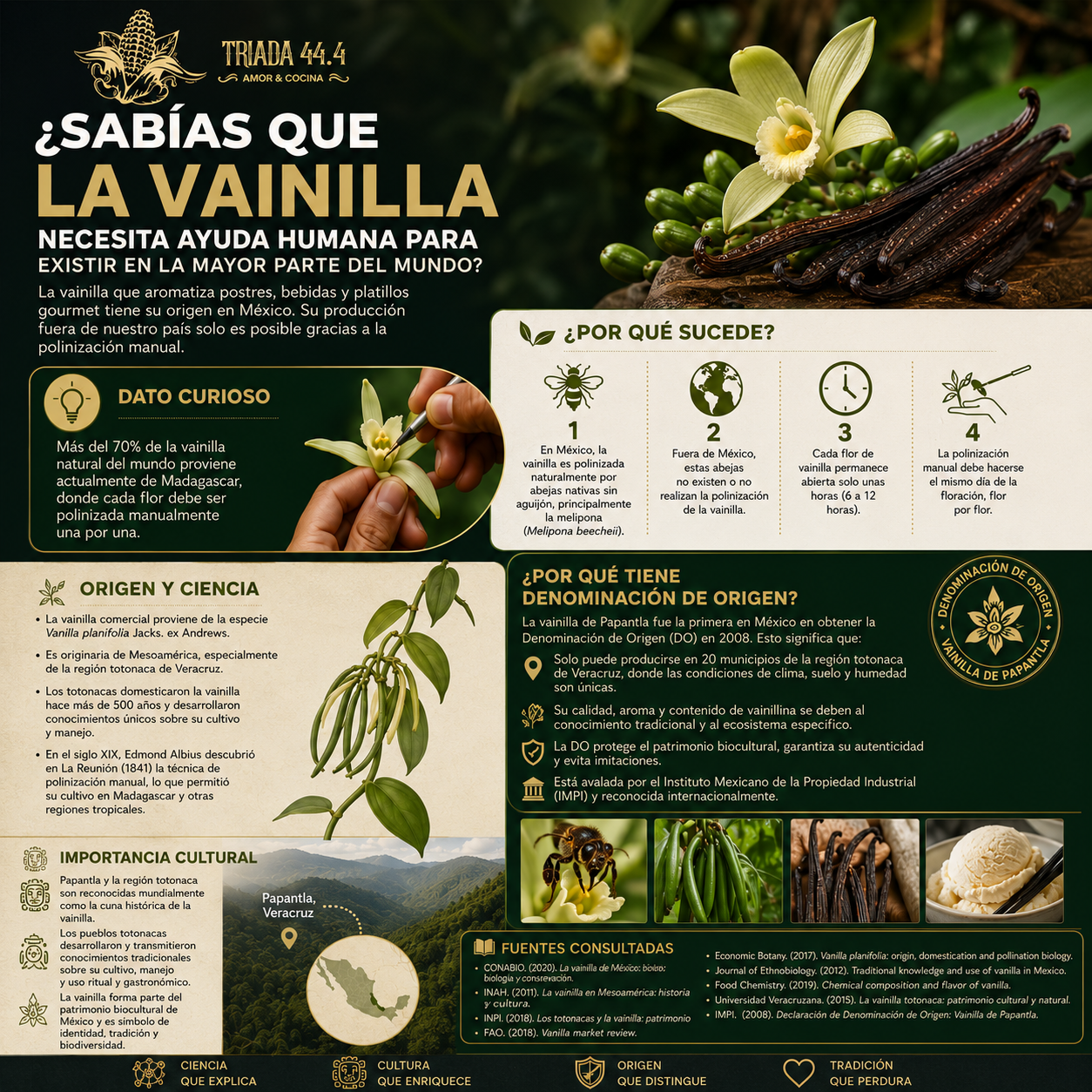 Vainilla: patrimonio que se poliniza a mano